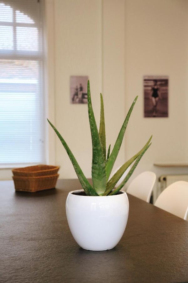 Vakantiewoning Villa Elena Nieuwpoort Esterno foto